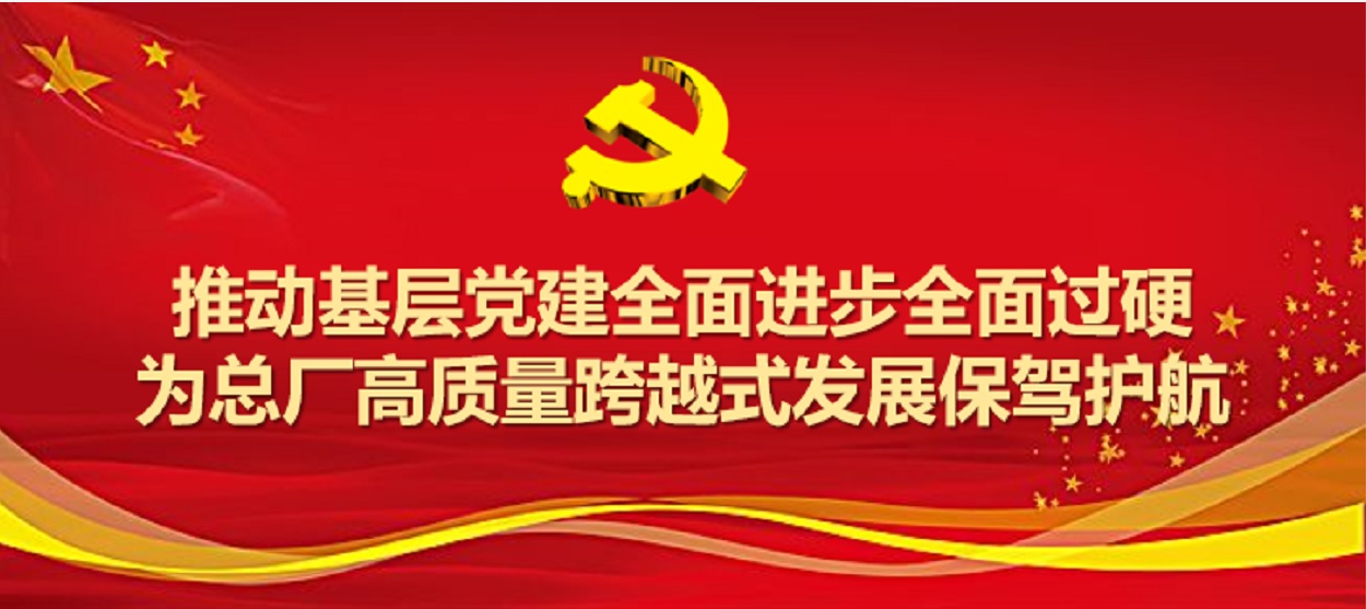 白云山制药总厂圆满完成2019年度党支部工作及党支部书记考评工作
