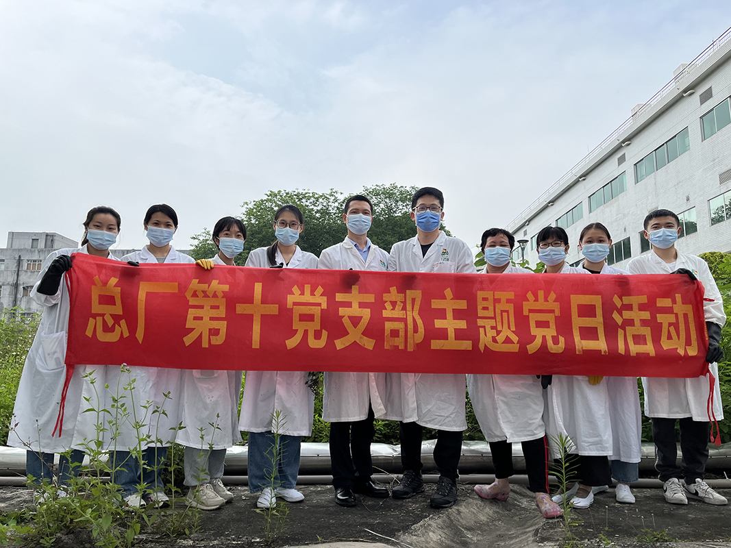 抵御风雨的青年力量——第十党支部开展主题党日活动